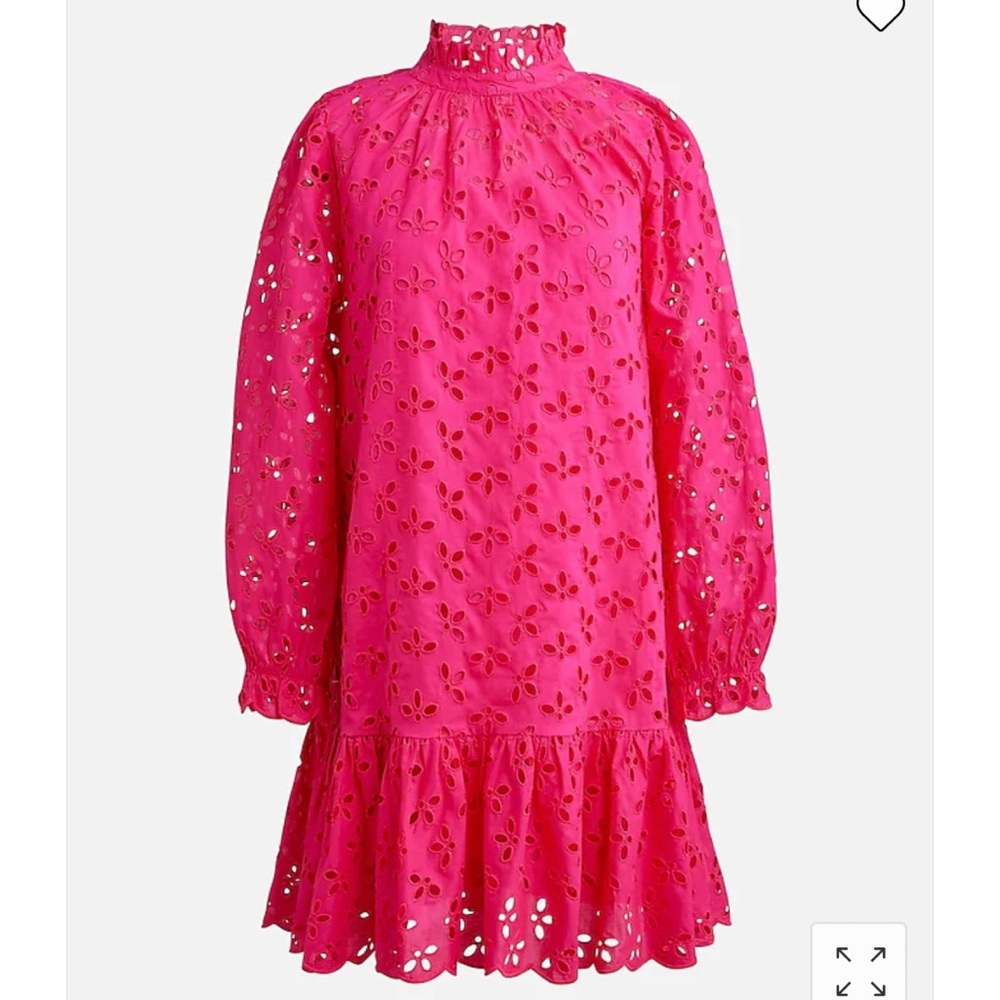 J. Crew Ruffleneck mini dress in eyelet, Pink size small